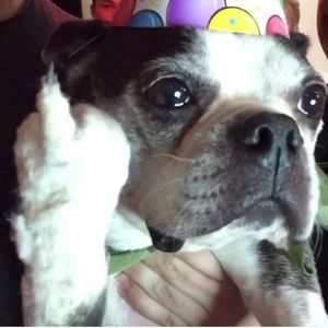 Meet your Posher, Kendall