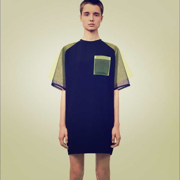 Christopher Kane Dresses & Skirts - Christopher Kane 2015 Resort Tulle Dress