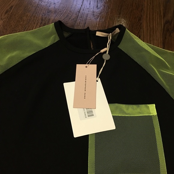 Christopher Kane 2015 Resort Tulle Dress - Picture 4 of 8