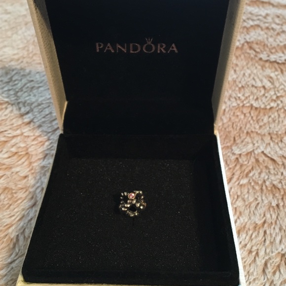 Authentic Pandora two toned charm