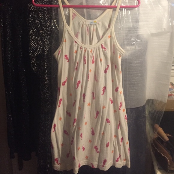 Seahorse and starfish