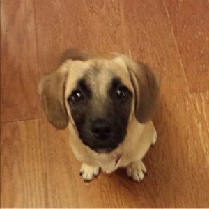 Meet your Posher, Jean