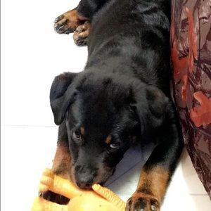 Meet your Posher, Brittney