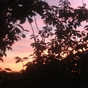 Meet your Posher, Dillon