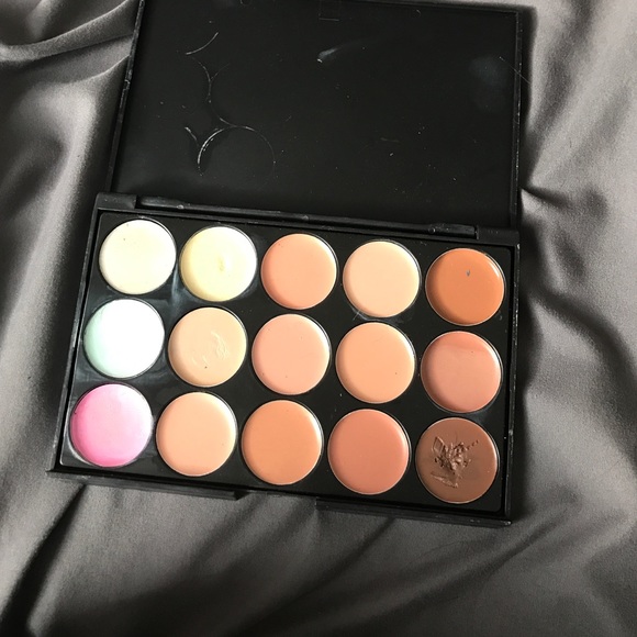 Color correcting palette