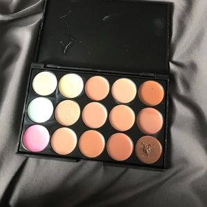 Color correcting palette