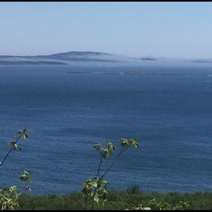 Meet your Posher, Isabelle