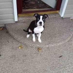 Meet your Posher, Stephan