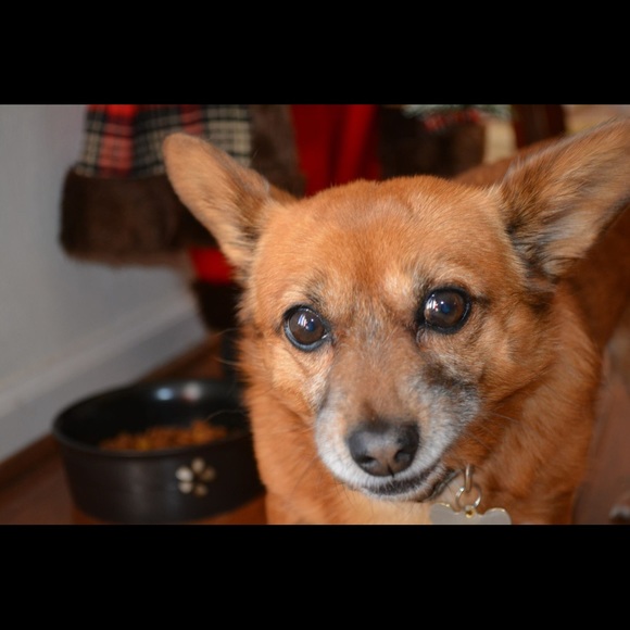 Meet your Posher, Christin - Picture 3 of 4