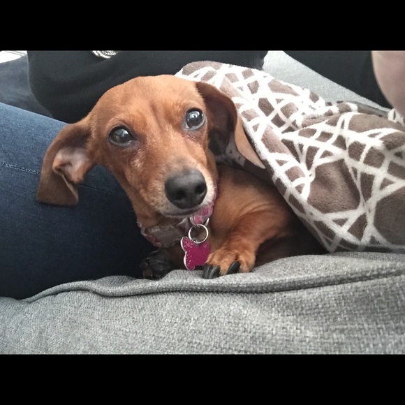 Meet your Posher, Christin - Picture 4 of 4