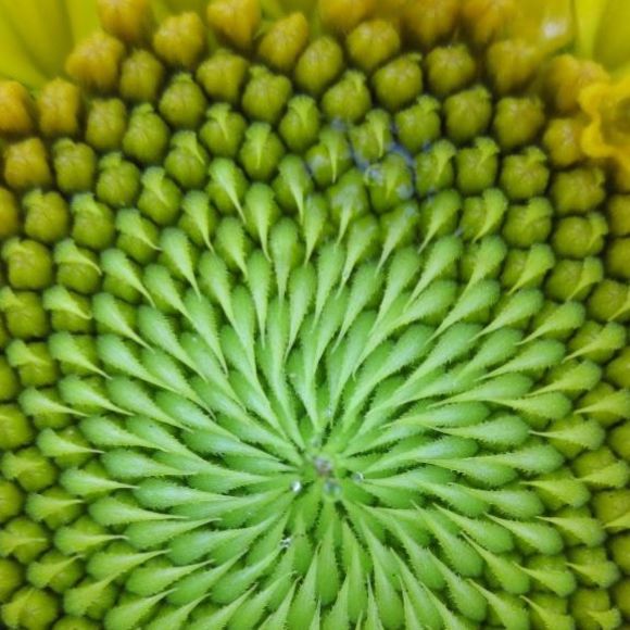 Meet your Posher, Valerie