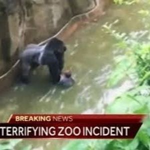 Meet your Posher, Davis