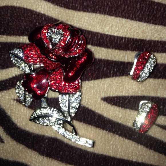 🌺Mothers Day Nolan Miller Brooch and Earrings🌺