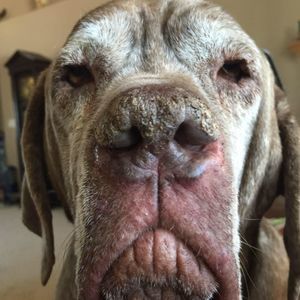 Meet your Posher, Ruth