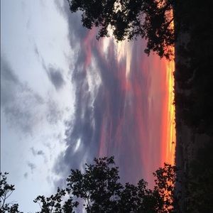 Meet your Posher, Juna