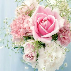 Meet your Posher, Melisa