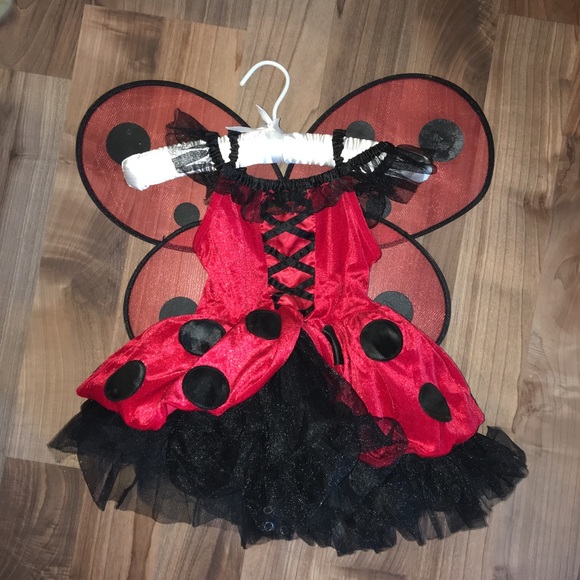 Girls Lady Bug Costume, Worn Once