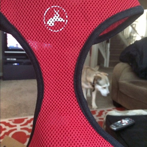 Selling two pet control harness - Picture 1 of 4