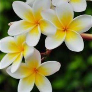 Meet your Posher, Kennedi