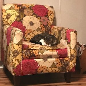 Meet your Posher, Carla