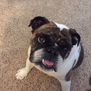 Meet your Posher, Andy