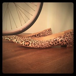 Manolo Blahnik Leopard Printed Flats