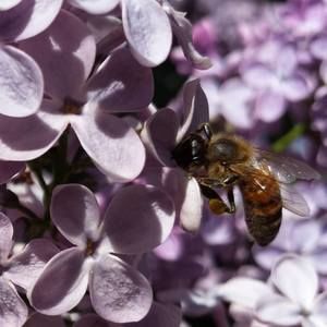 Meet your Posher, Lynn