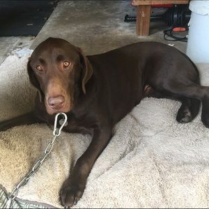 Meet your Posher, Kelsey