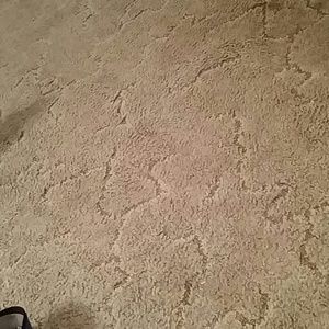 Meet your Posher, Clayton