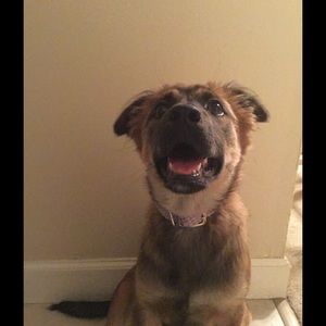 Meet your Posher, Jodi