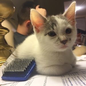 Meet your Posher, Giovanna