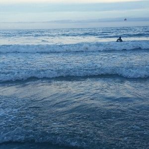 Meet your Posher, Coryn