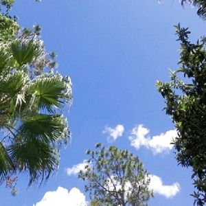 Meet your Posher, Dannie