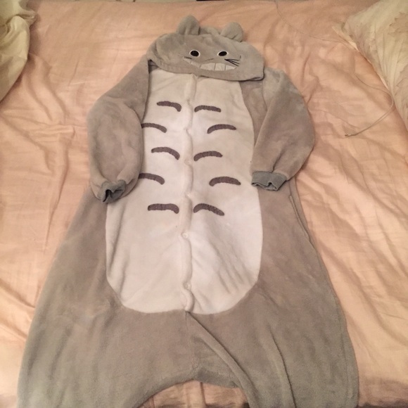 Totoro onesie!