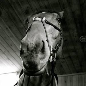 Meet your Posher, Hilary