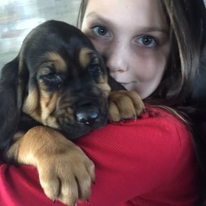 Meet your Posher, Johnie