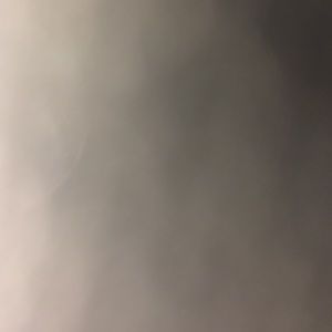 Meet your Posher, Benito