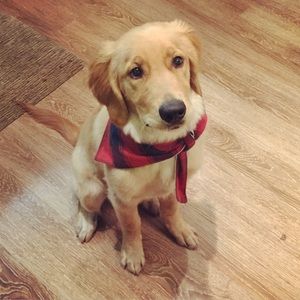 Meet your Posher, Carrie