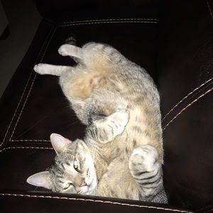 Meet your Posher, Brad