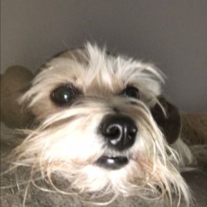 Meet your Posher, Mary