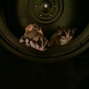 Meet your Posher, Brooke