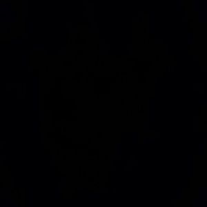 Meet your Posher, Jennie