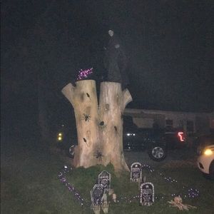 Meet your Posher, Molly