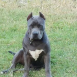 Meet your Posher, Nancy