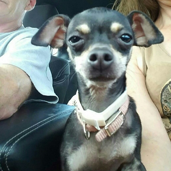 Hi I'm Michelle and the 2nd pic is my DD Caitlin - Picture 6 of 9