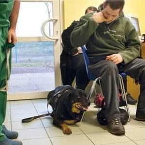 Meet your Posher, Joseph