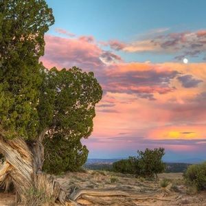 Meet your Posher, Peri