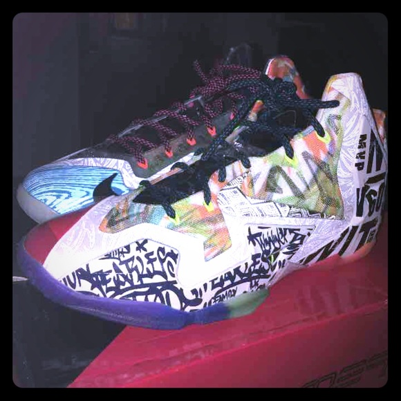 Nike Shoes "What the Lebrons"