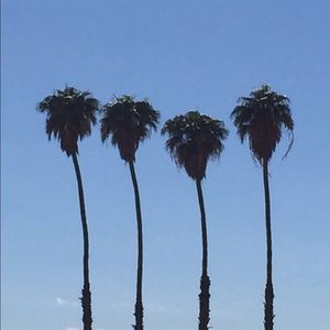 Meet your Posher, Chantal