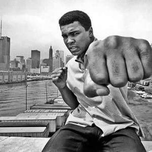 Meet your Posher, Markey